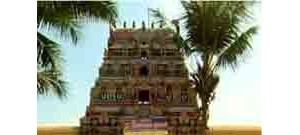 21. திருநந்திபுர விண்ணகரம்